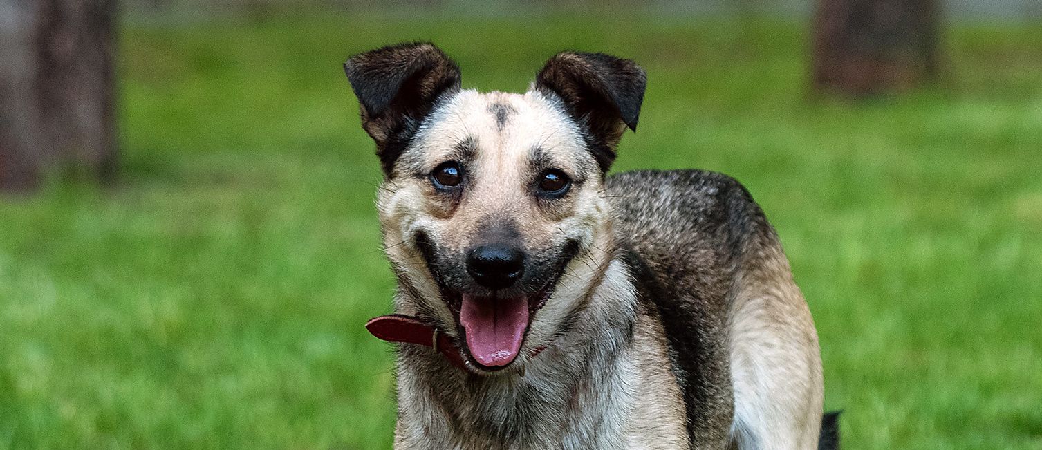 Dzień otwarty w niedzielę 29 marca!