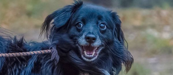 Sopotkowe kalendarze 2026!